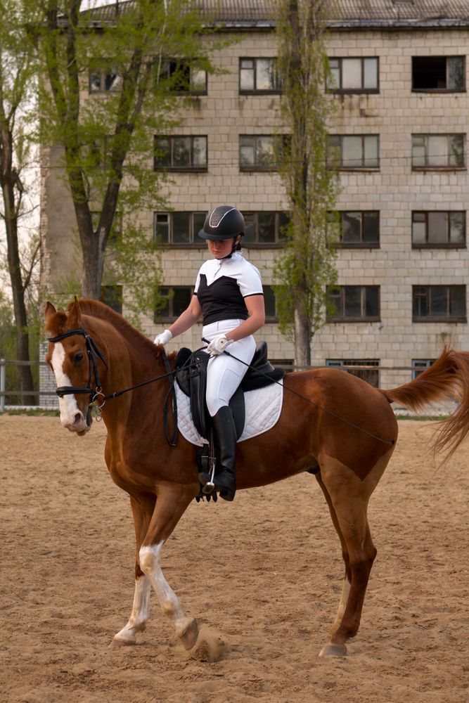 Focused dressage rider on chestnut horse in urban setting