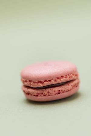 Single raspberry macaroon