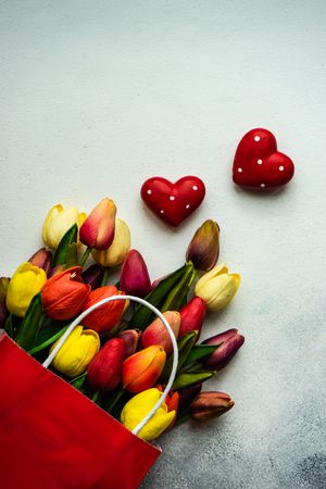 Red bag of fresh tulips on grey counter with heart ornaments and copy space