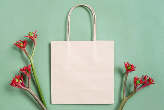 Plain paper shopping bag with plants on plain background