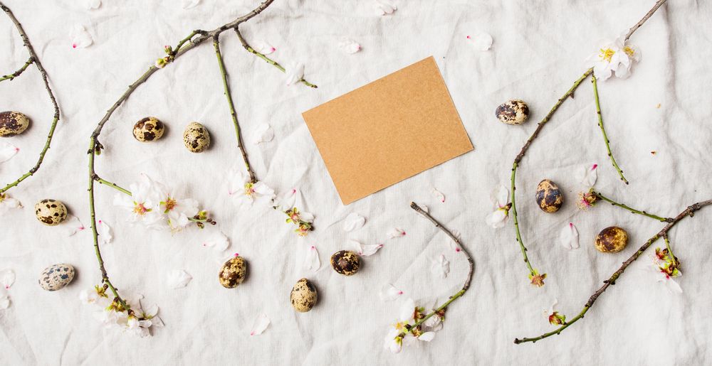 Quail eggs and blooming branches of almond tree scattered on light sheet
