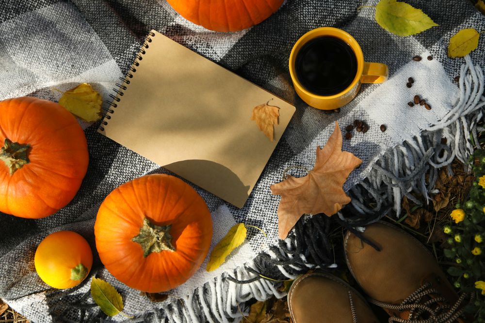 Autumn concept with pumpkins outdoor, top view