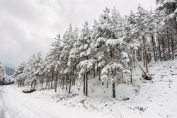Winter snowy empty country road