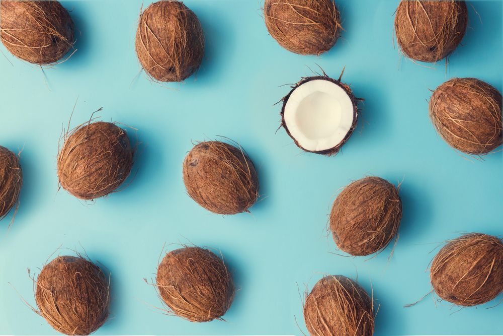 Coconut fruit pattern on a pastel blue background