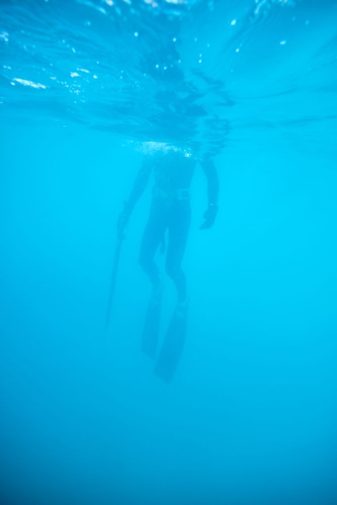 Anonymous diver spearfishing in blue sea water