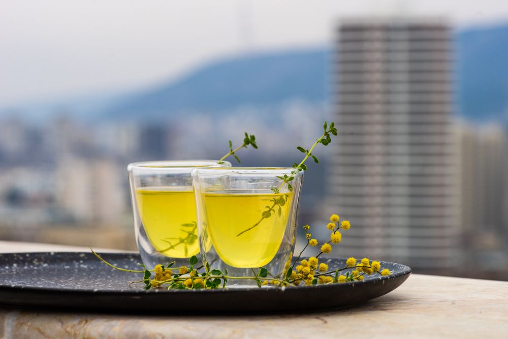 Side view of two glasses of limoncello with garnish