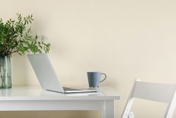 Laptop, vase with plant and coffee on table