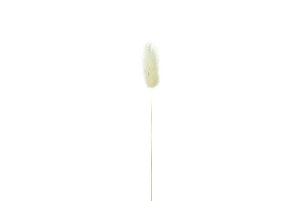 Single willow in blank studio shoot