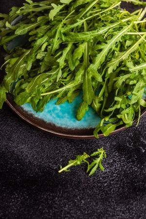 Close up of healthy food plate with bunch of arugula leaves