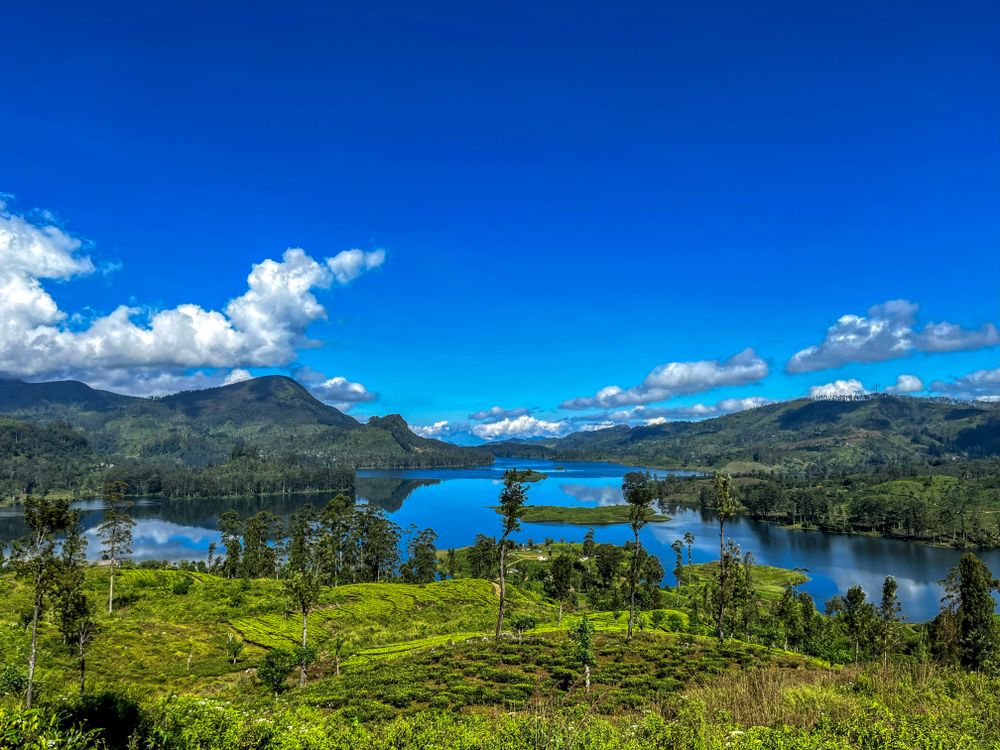 Gartmore tea plantation Sri Lanka