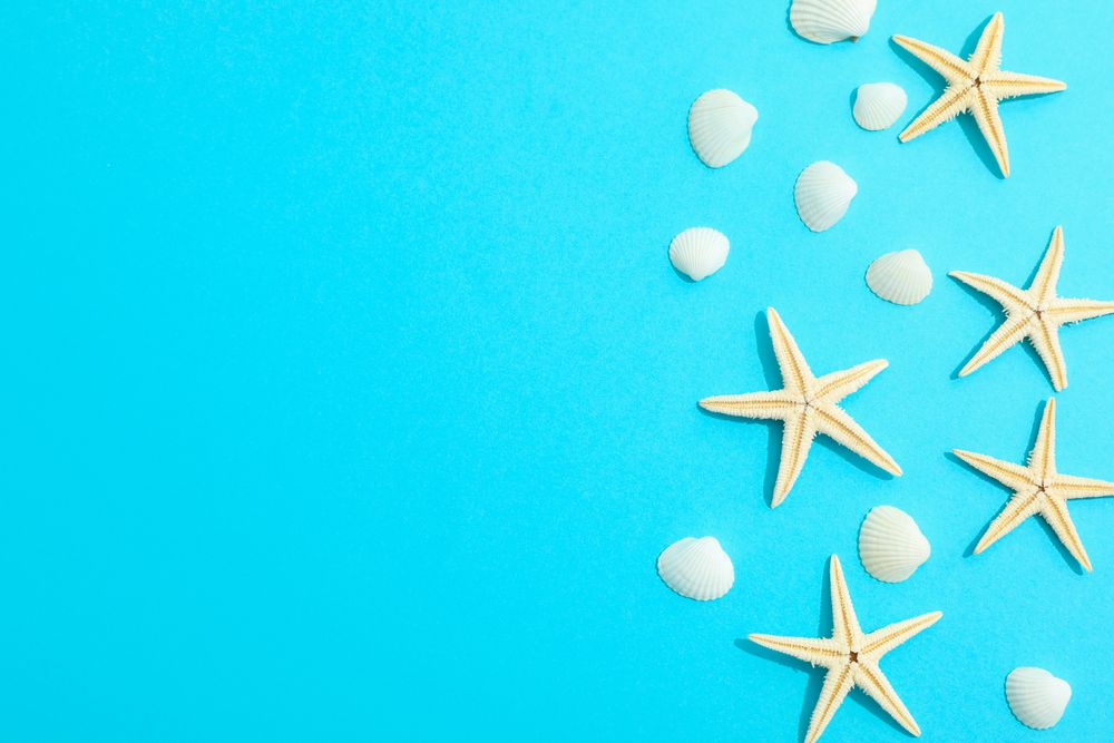 Flat lay composition with starfishes and seashells on color background, space for text