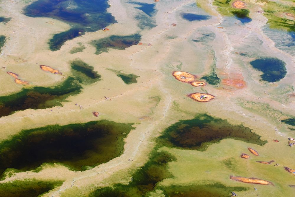 Leaves in flow of river with minerals