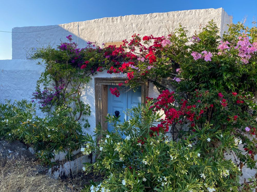 Unkept Garden of Patmian home