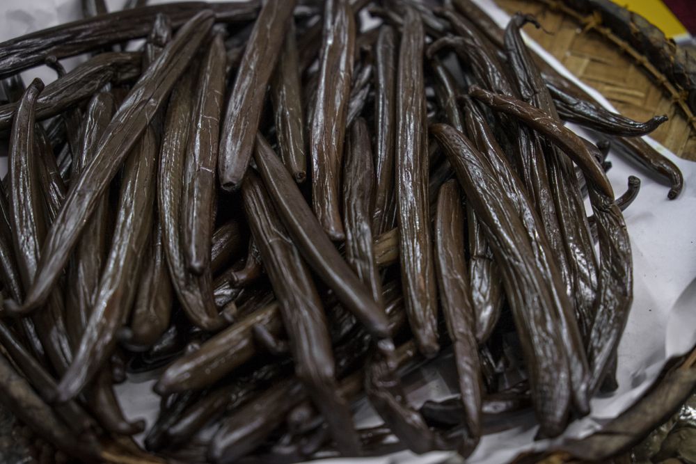 Close up of vanilla beans