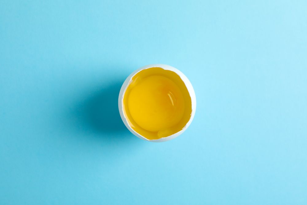 Half with yolk on color  background, space for text