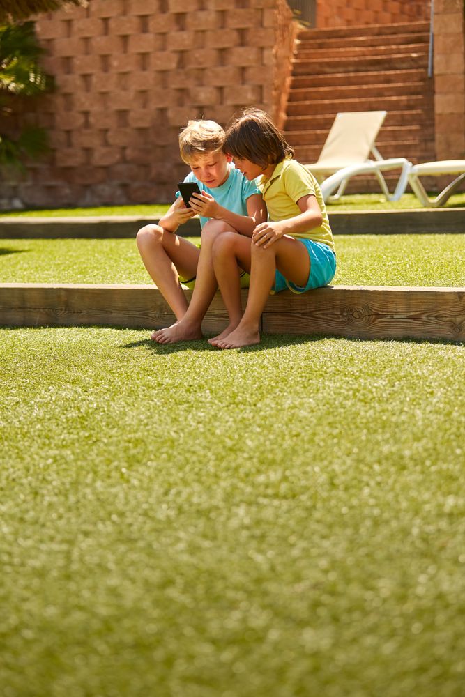 Cheerful boys browsing smartphone sitting on garden