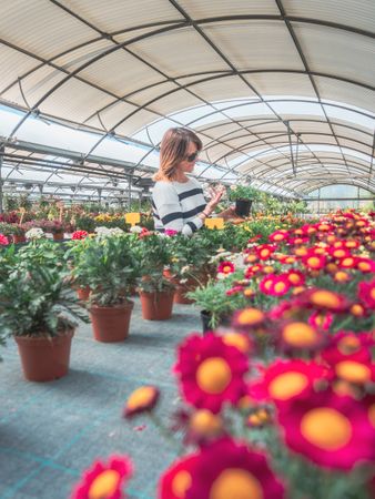 Female studying flowers in greenhouse