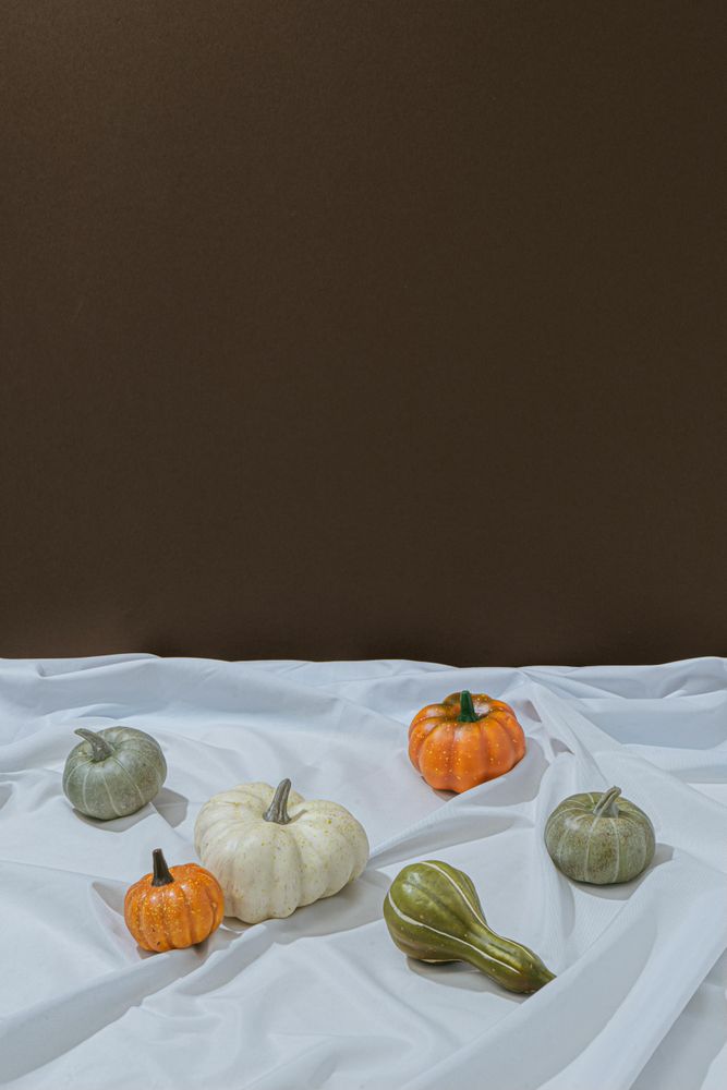 Retro styled autumn still life arrangement with squashes on light sheet and brown background