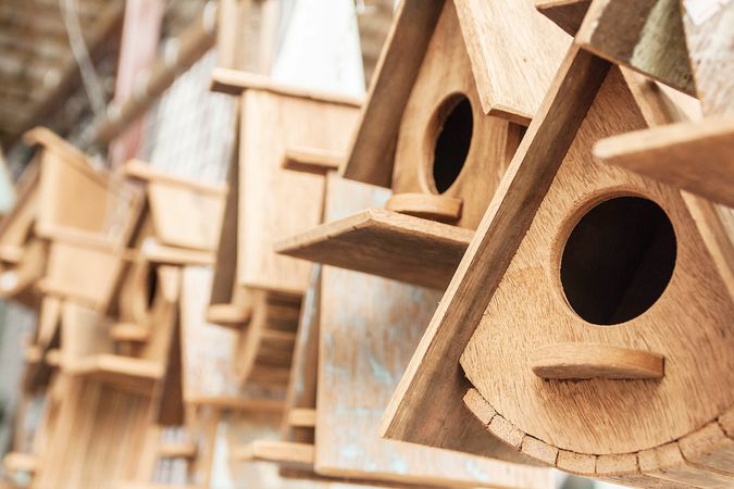 diverse wooden house of bird.