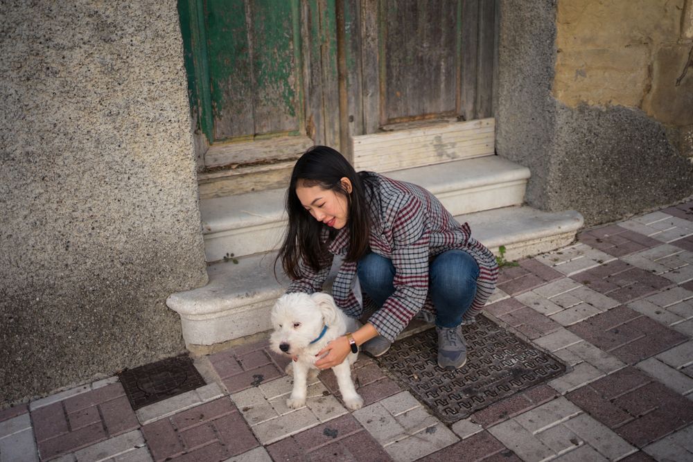Peaceful woman stroking dog on street