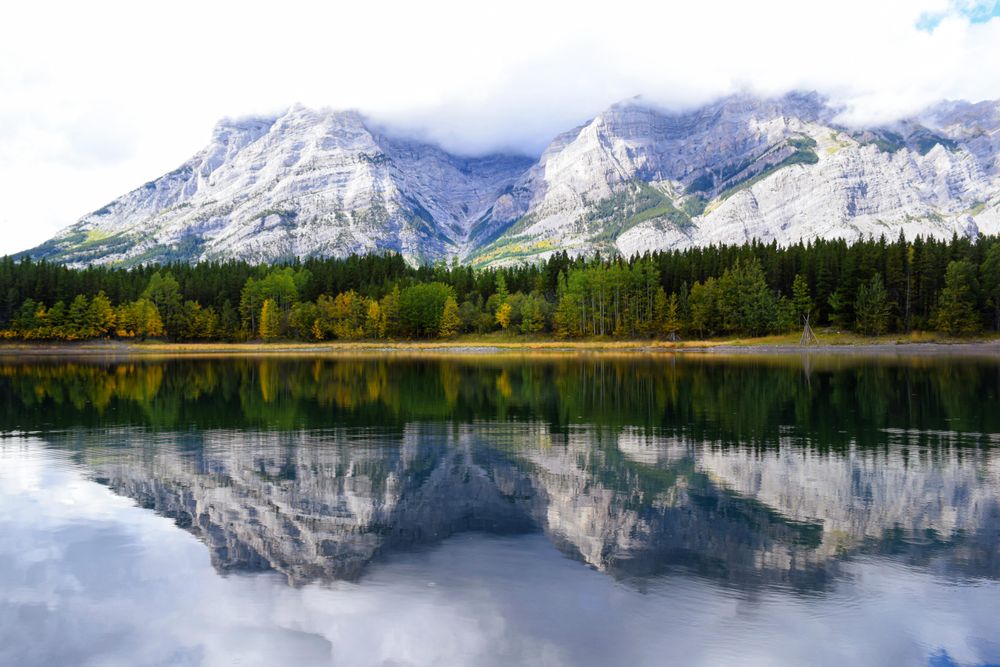 Green trees near lake and snow covered mountain