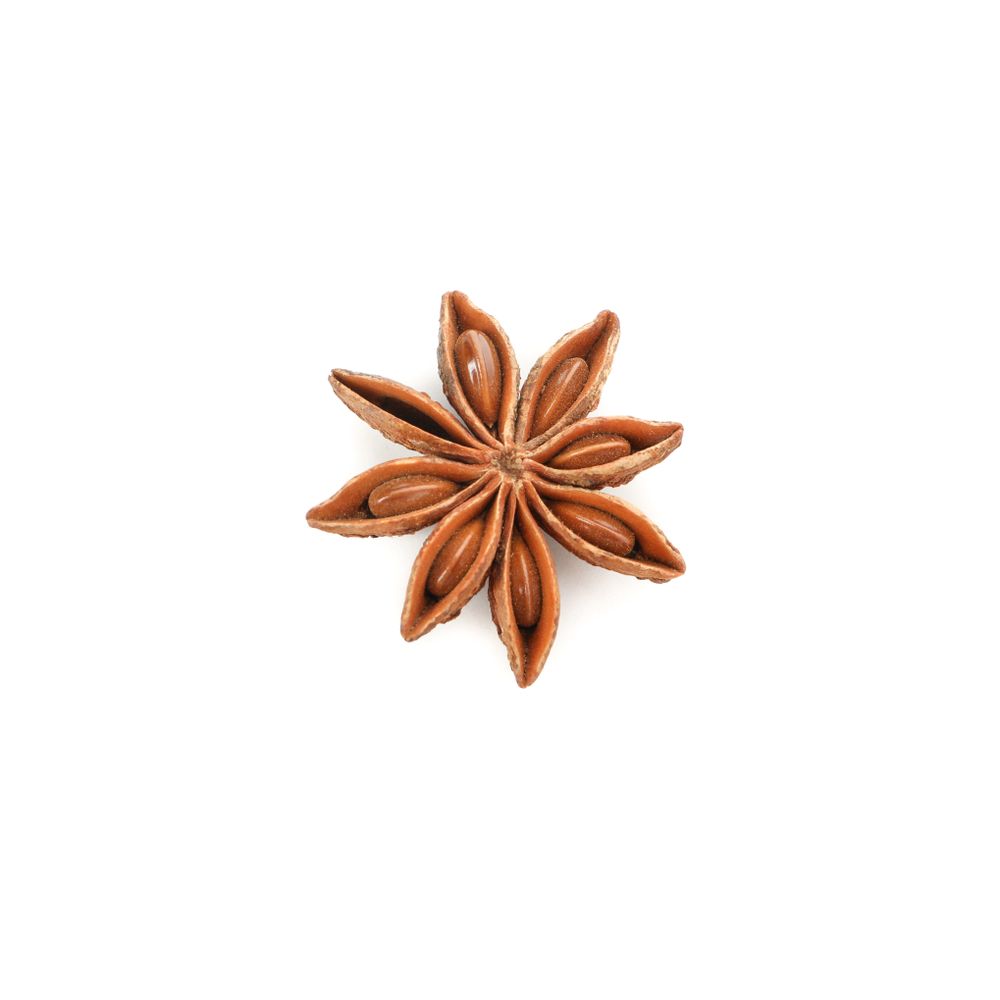 Single anise on plain background