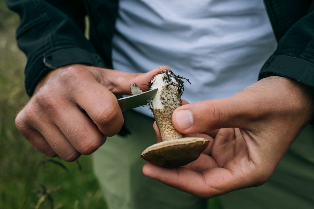 Man with knife and foraged mushroom