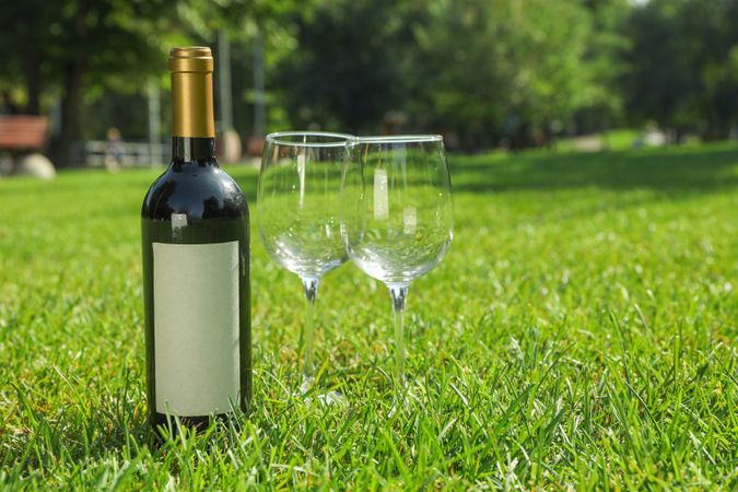 Bottle of wine and glasses on green grass, space for text