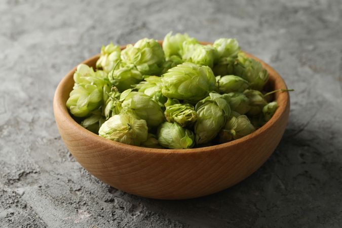 Wooden bowl with hop on gray background
