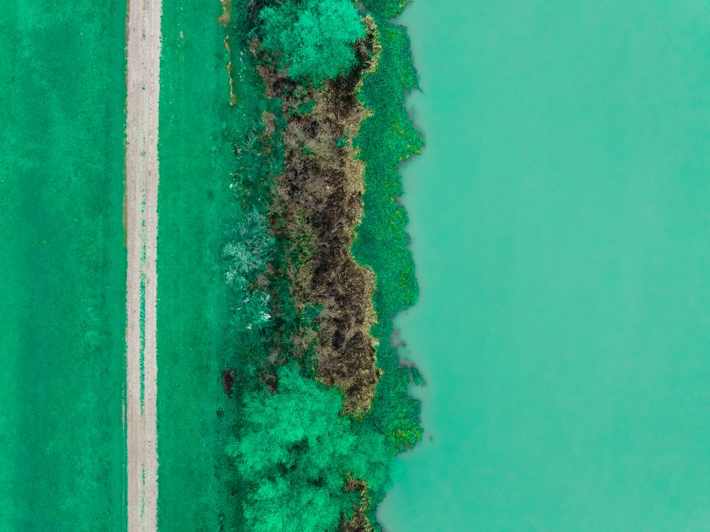 Top-down composition of nature.