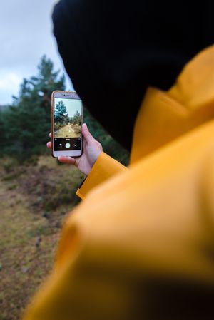Woman in hoodie and yellow raincoat photographing forest on smartphone