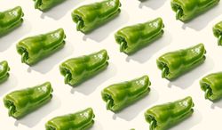 Rows of whole green peppers
