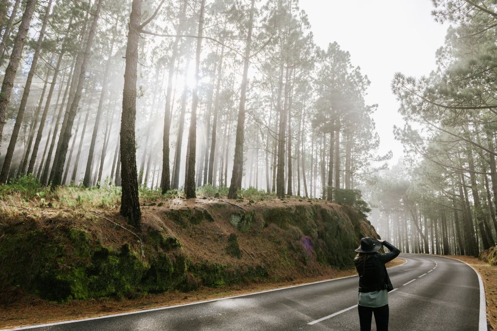 Woman in foggy forest