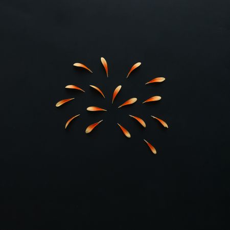 Orange petals on dark background
