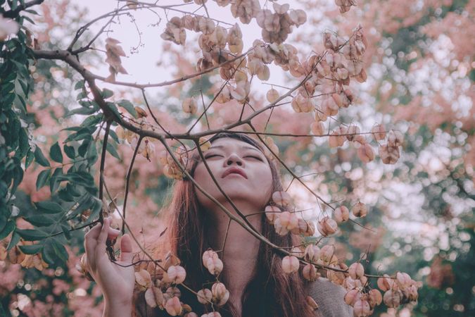 Portrait of woman leaning her head back with closed eyes under pink flower tree
