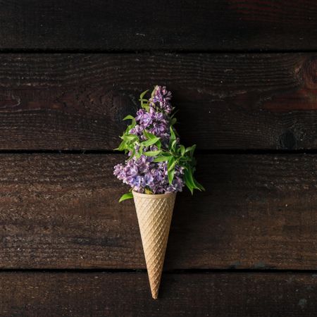 Ice cream cone with purple lilac on wooden background