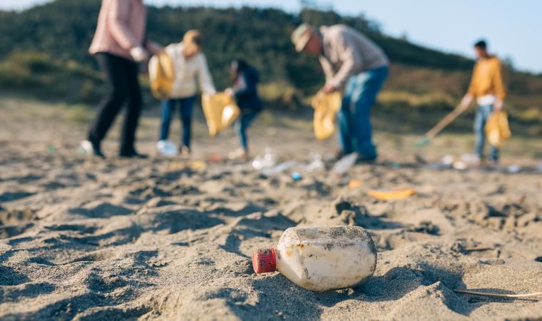 Volunteers cleaning the beach