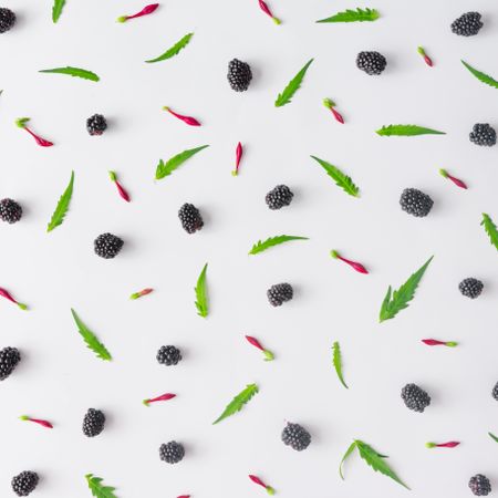 Pattern of blackberry fruit and leaves on light background