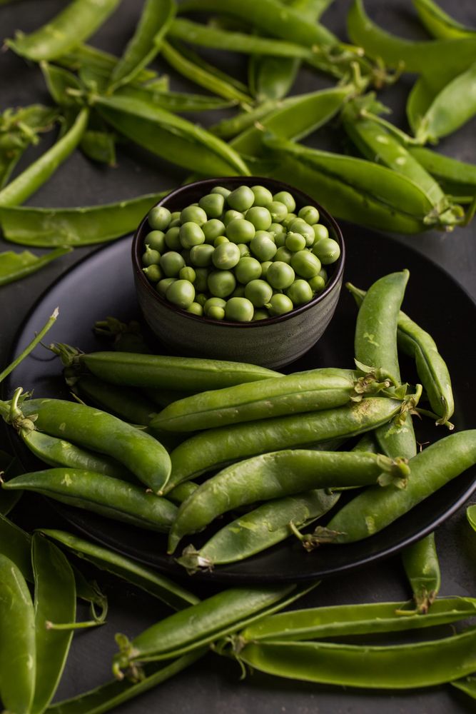 Fresh peas and pea pods on dark background
