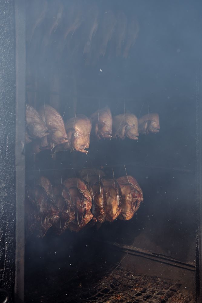 Rows of fish in smokehouse