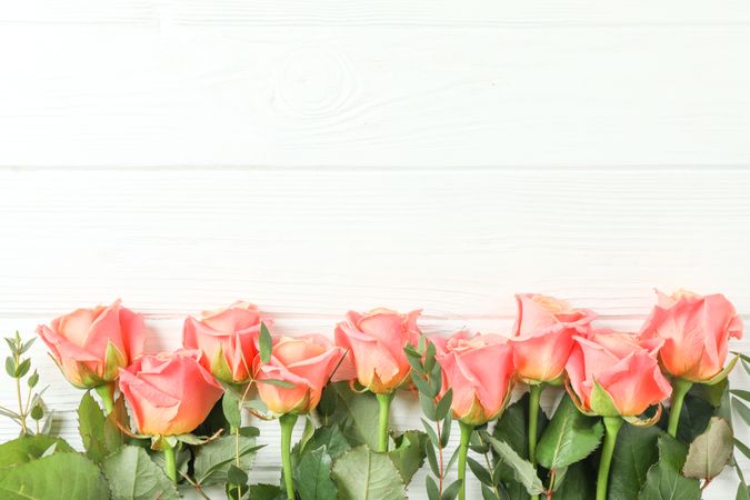 Beautiful orange roses on wooden background, space for text