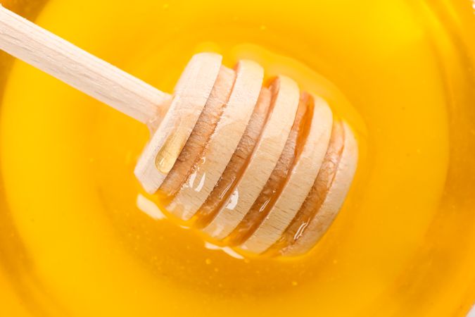 Dipper in honey on whole background, close up