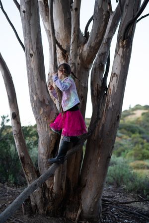 Young girl with pink skirt climbing a tree in an open canyon