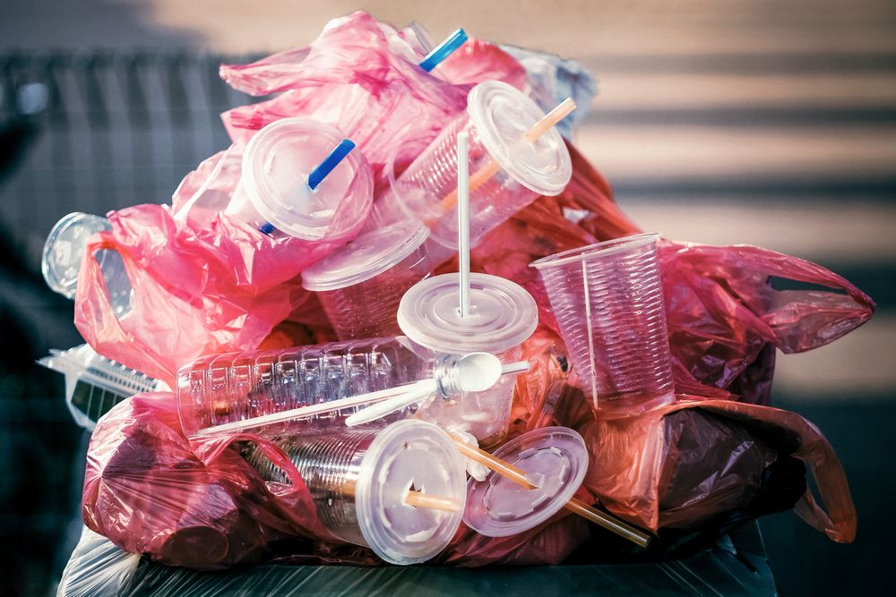 Empty plastic cups in the garbage