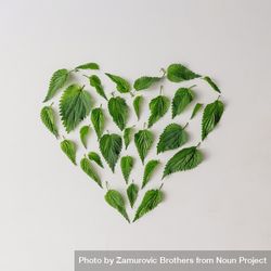 Nettle leaves in shape of heart on light background 4Bqax5