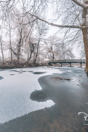 Bridge over a semi frozen lake with trees