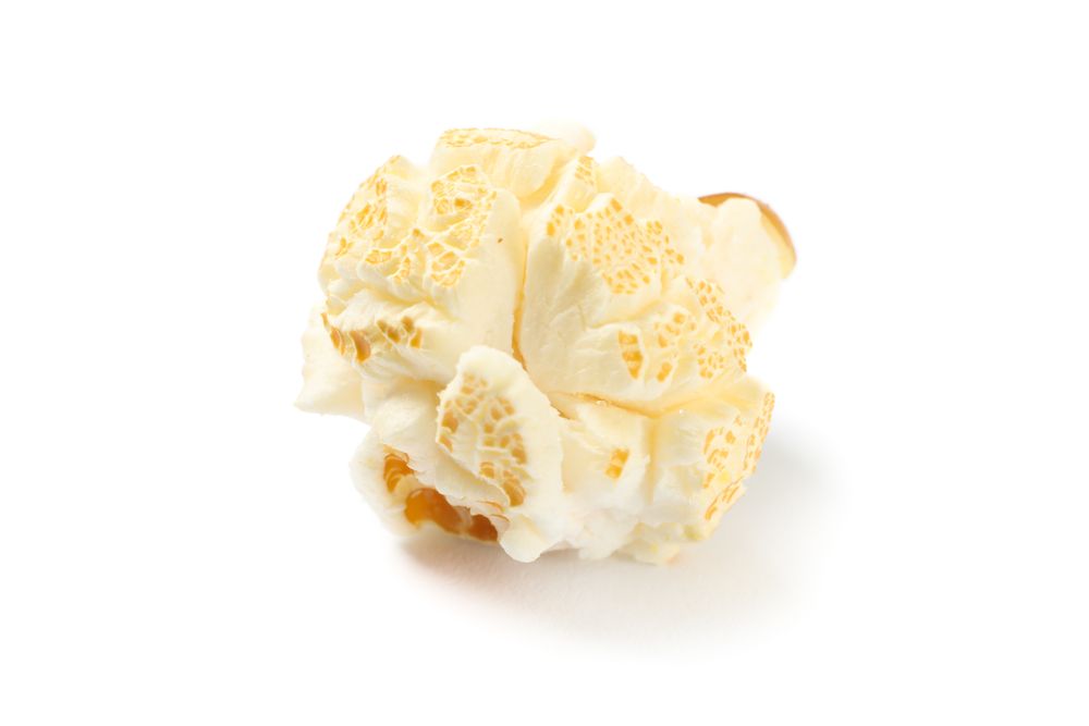 Piece of popcorn isolated on blank background, close up