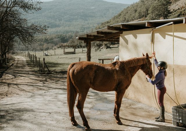 Woman and girl brushing horse