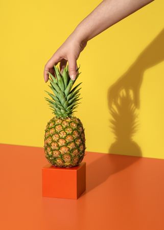 Pineapple minimalist in bright light
