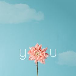 Pink flower on sky background making the word “you”